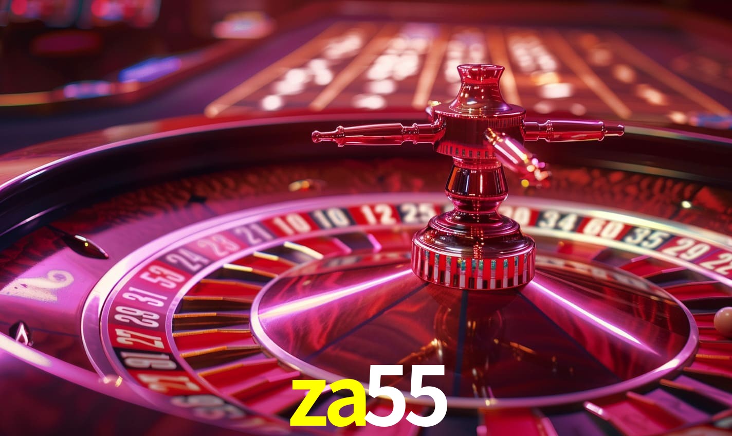za55.com